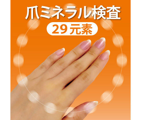 爪ミネラル検査(29元素)